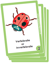 flash card deck on classification of animals as vertebrates or invertebrates for kids.